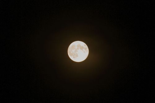 夕べの月.jpg