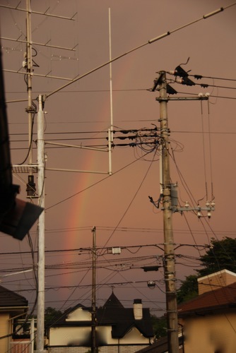 夕焼け色の虹.jpg