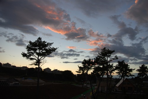 嵐の後の夕焼け雲.jpg