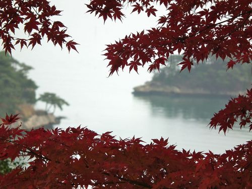 秋の松島.jpg