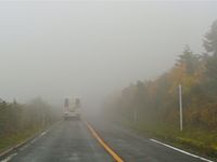 霧の中へ.jpg